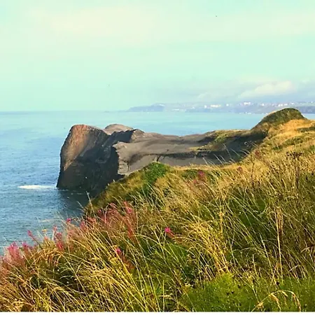 Casa vacanze The Barn, Rustic Country Dog Friendly *